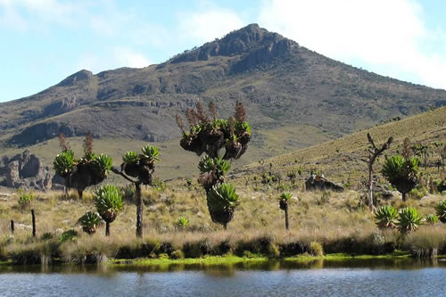 mt elgon