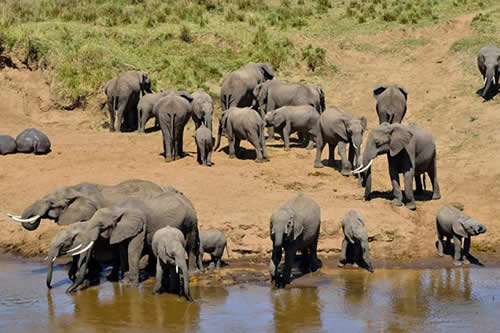 tarangire
