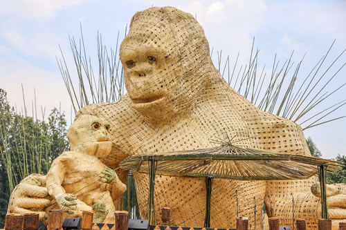 Kwita Izina