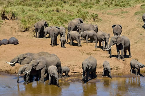 tarangire